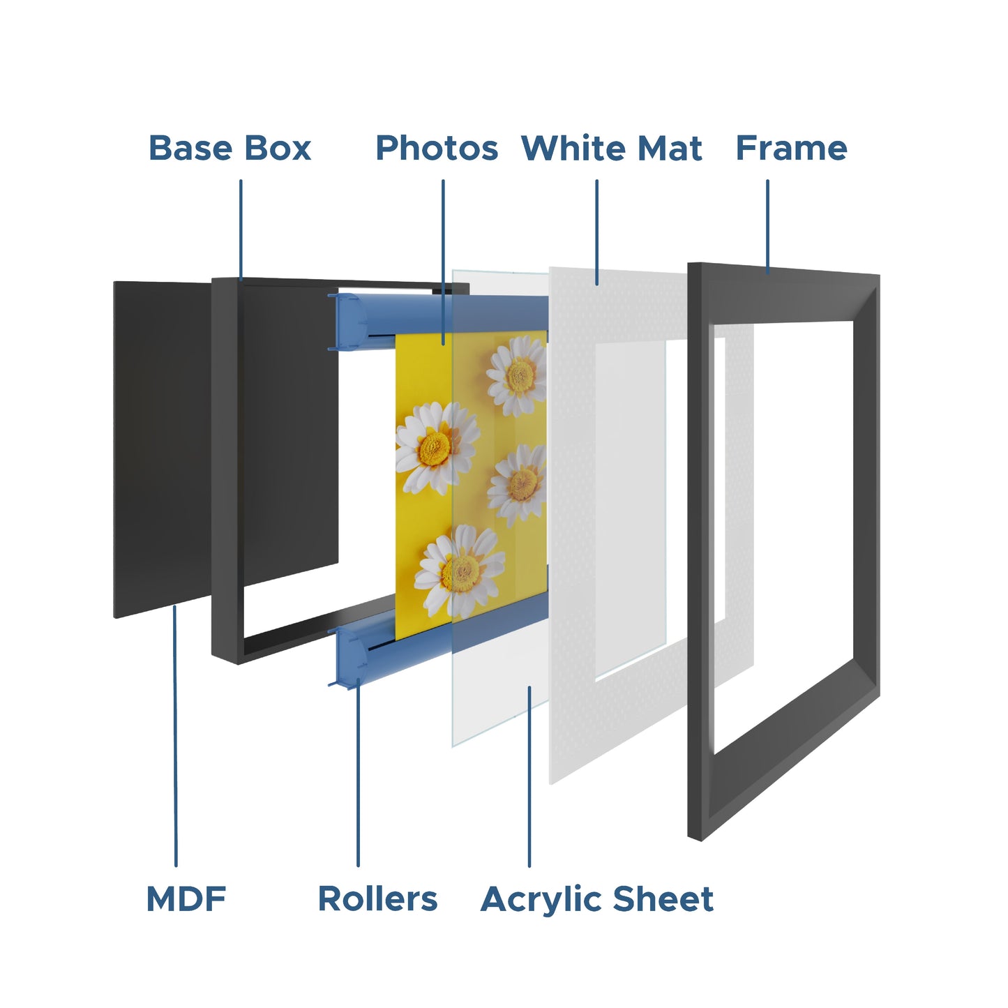 .Solace Rollable Frames